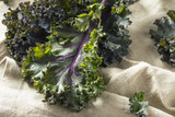 Organic Healthy Red Kale