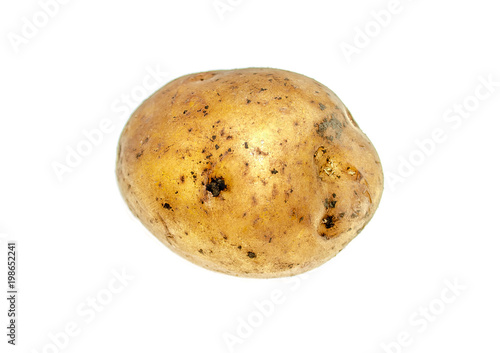 Potatoes on a white background