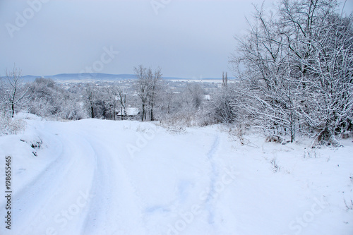 Winter landscape with snow © Аня Баскакова