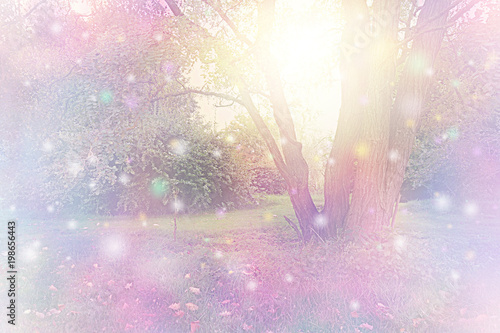 Fotografie Spirit Orbs gathered around tree emitting golden white light - tree with etherea