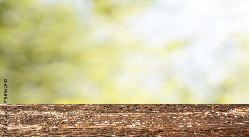 Empty wooden table with spring background