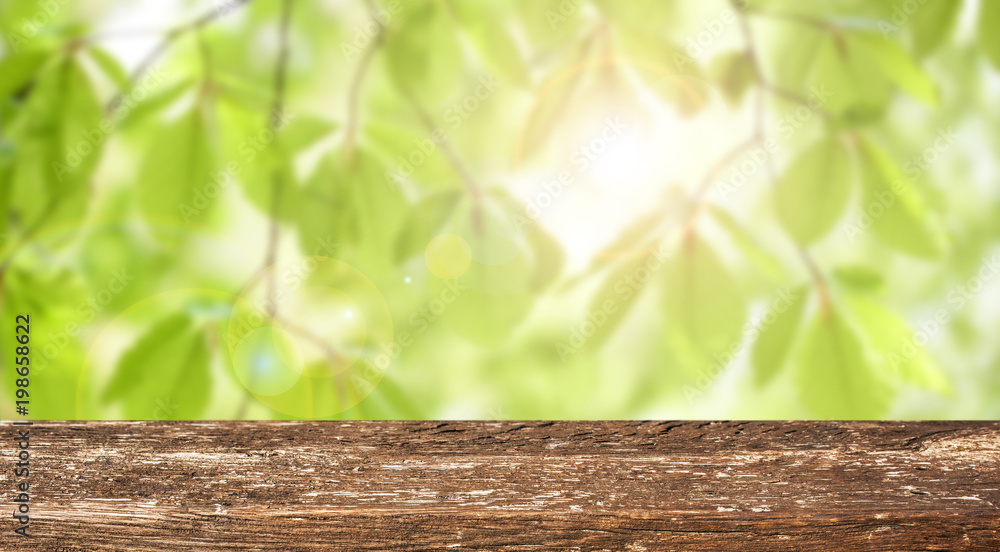 Empty wooden table with spring background Empty wooden table with spring background
