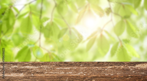 Empty wooden table with spring background