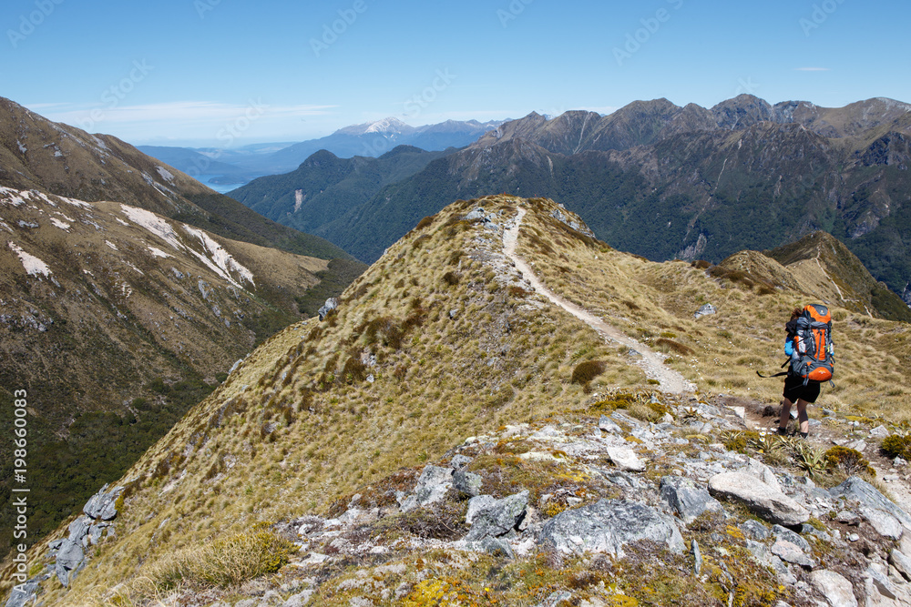 A hiker walking along the mountain ridges on the Kepler Track in New Zealand.