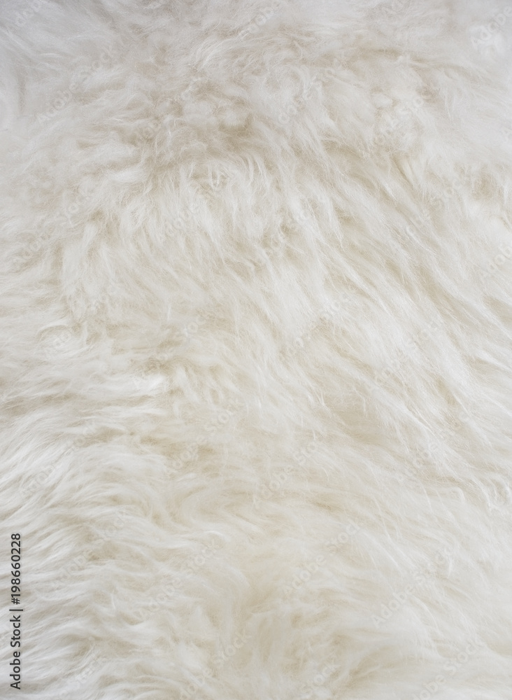 Natural sheepskin background texture Natural sheepskin background texture