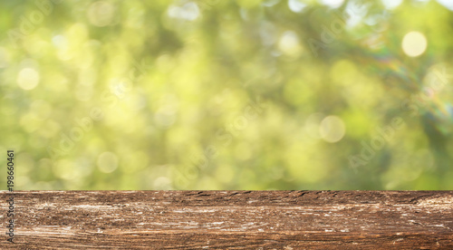 Empty wooden table with spring background