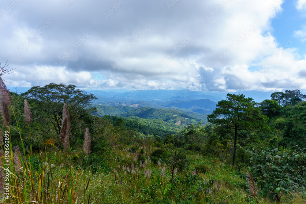 panorama landscape view of mountain and jungle with blue cloudy sky in the national park