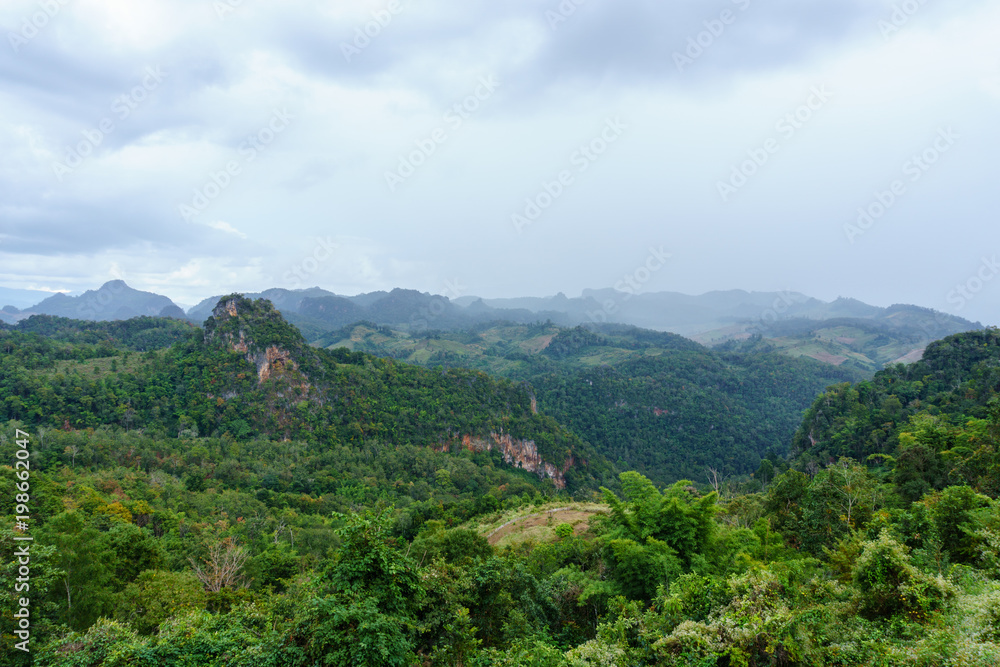 panorama landscape view of jungle and mountain with blue sky and cloud in sunny day at thailand national park. nature or abstract background.