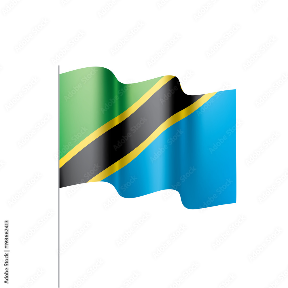 Obraz premium Tanzania flag, vector illustration