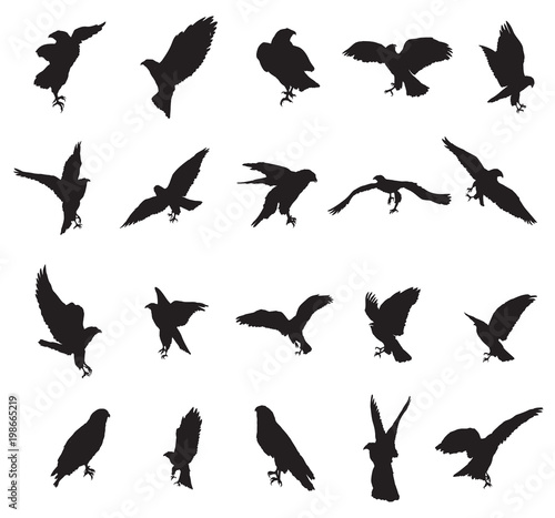 Set of eagle silhouettes-2