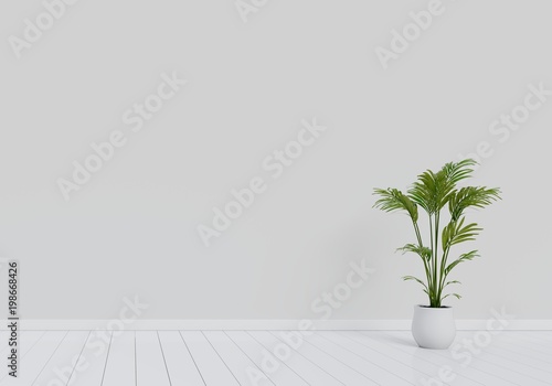 Modern interior design of living room with natural green plant pot on white glossy wooden floor. Home and Living concept. Lifestyle theme. 3D illustration rendering.