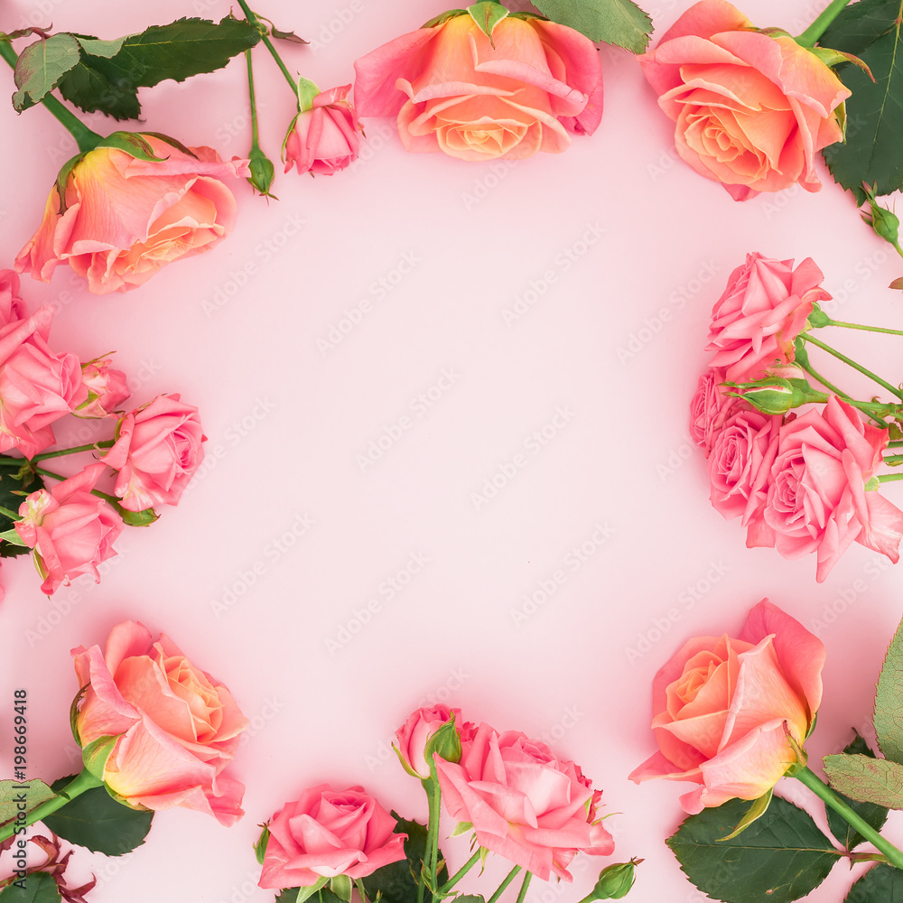 Floral frame made of roses, buds and green leaves on pink background. Flat lay, top view. Spring background