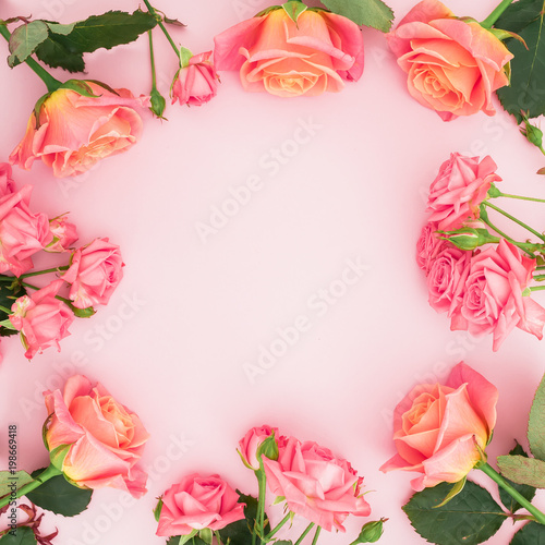 Floral frame made of roses, buds and green leaves on pink background. Flat lay, top view. Spring background