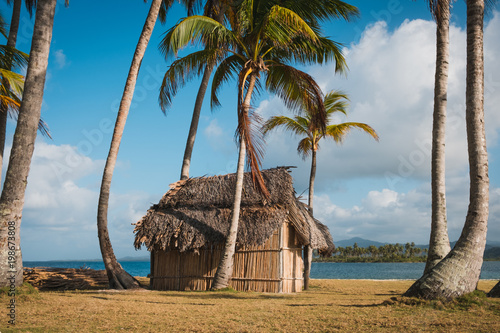Fototapeta Naklejka Na Ścianę i Meble -  beach house , bungalow with thatch roof on palm tree island
