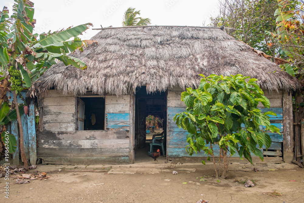wooden house , rural bungalow with thatch roof wooden house , rural bungalow with thatch roof