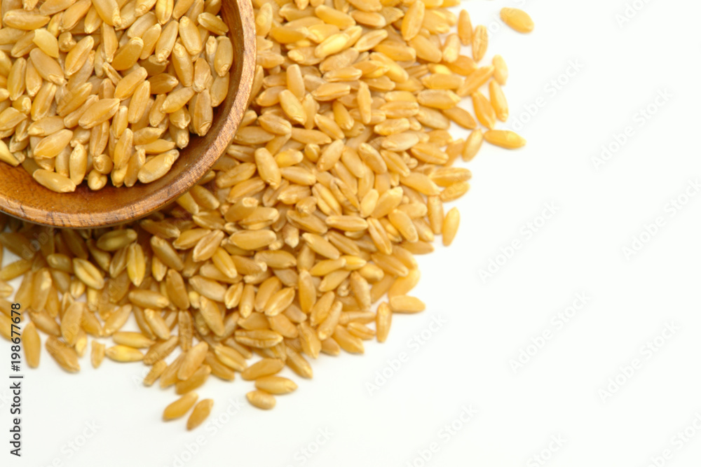 A cup of wheat A cup of wheat