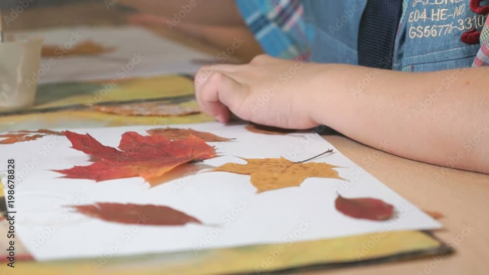 Unknown little child sitting on the table glues dry maple leaves on a white sheet. Beautiful herbarium from leaves of tree. Manual work. Child development in kindergarten Unknown little child sitting on the table glues dry maple leaves on a white sheet. Beautiful herbarium from leaves of tree. Manual work. Child development in kindergarten