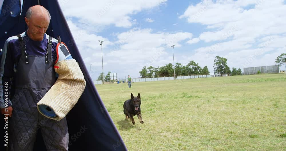 Trainer training a shepherd dog in the field Trainer training a shepherd dog in the field