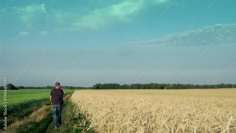 The young man goes along a field of rye, lower third The young man goes along a field of rye, lower third