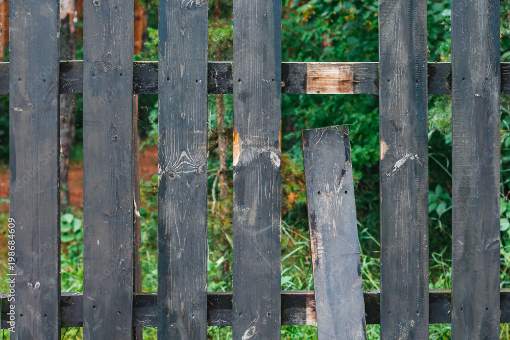 Broken dark wooden fence in garden. Copy space. Summer background. Close up.