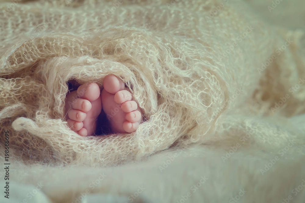 cute newborn baby feet wrapped comfortable fabric cute newborn baby feet wrapped comfortable fabric