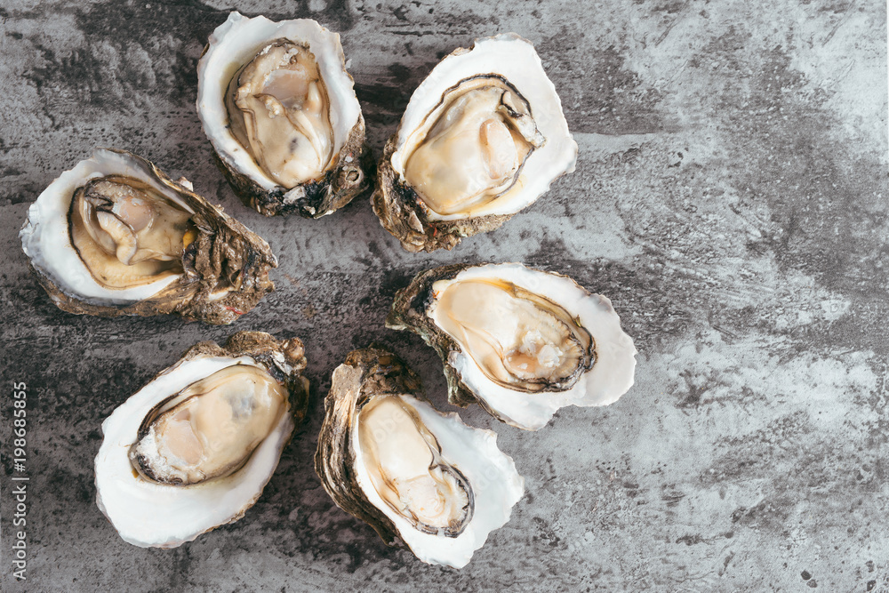 Opened Oysters on black metal rustic background Opened Oysters on black metal rustic background