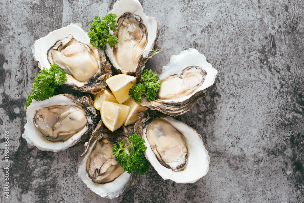 Opened oysters, lemon on gray stone table. Half dozen. With copy space Opened oysters, lemon on gray stone table. Half dozen. With copy space