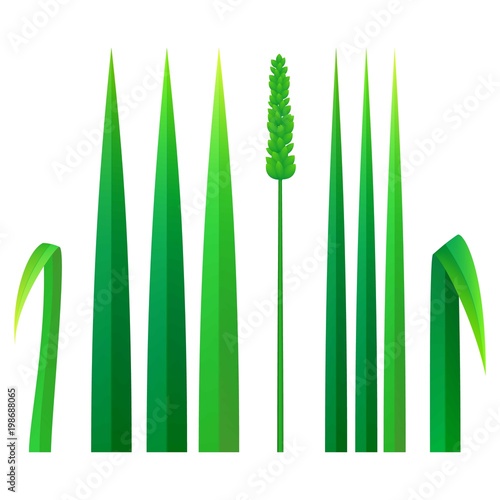 Strong grass icon, realistic style