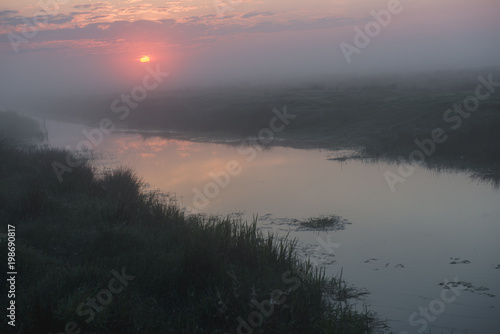 Beautiful foggy sunrise in Ukraine. Fog on the field. Untouched nature