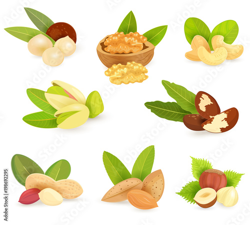 colorful set of organic nuts for your design
