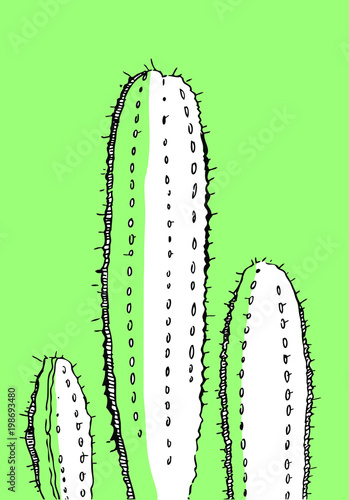 Outline hand drawn vector illustration with cactus for cards and posters on green background