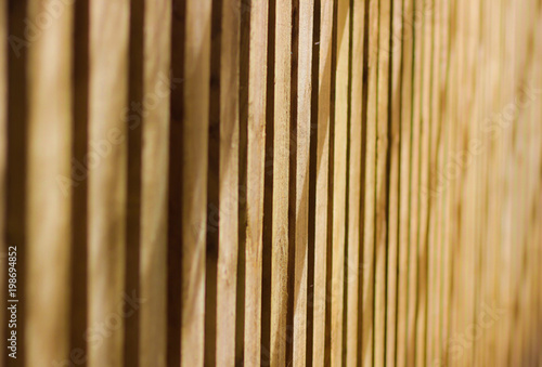 Portrait Of A Wooden Fence