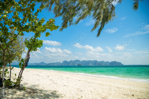 tropical beach with coconut palm © Netfalls