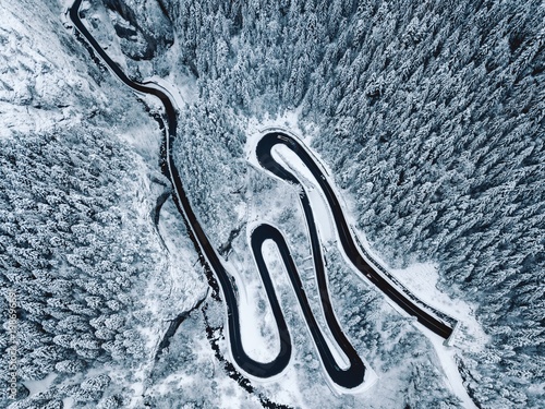 Aerial view of snowy forest...