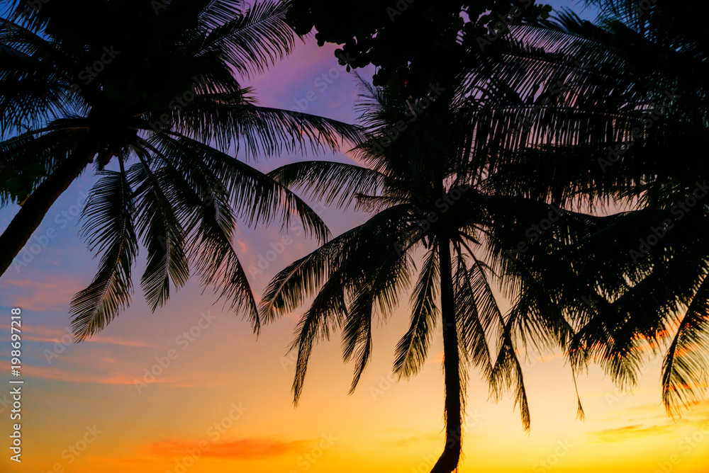 Amazing Tropical beach at sunset