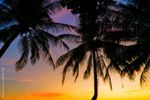 Amazing Tropical beach at sunset