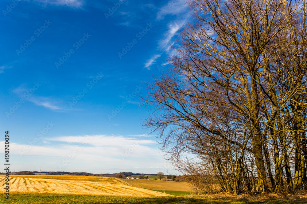 Obraz premium Felder