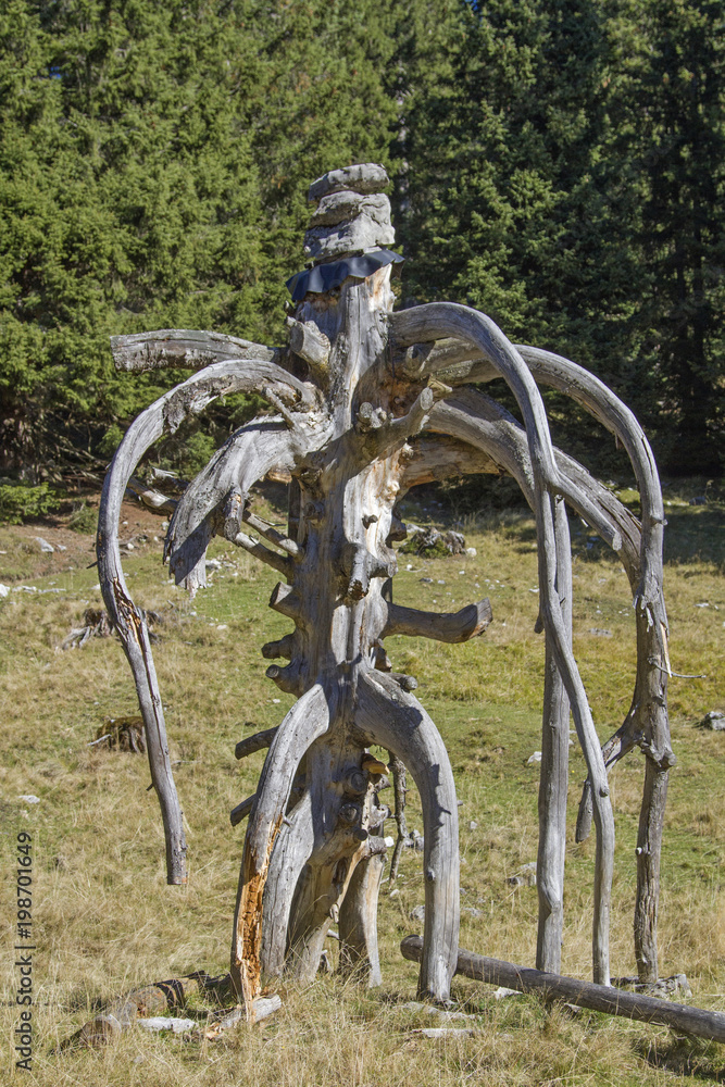 Fototapeta premium Skurriles Kunstwerk der Natur