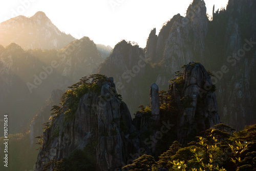 Cliff at sunrise, Huangshan Mountains (Anhui, China)