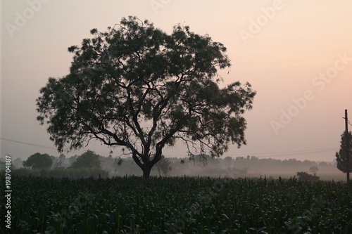 golden sunrise on a village