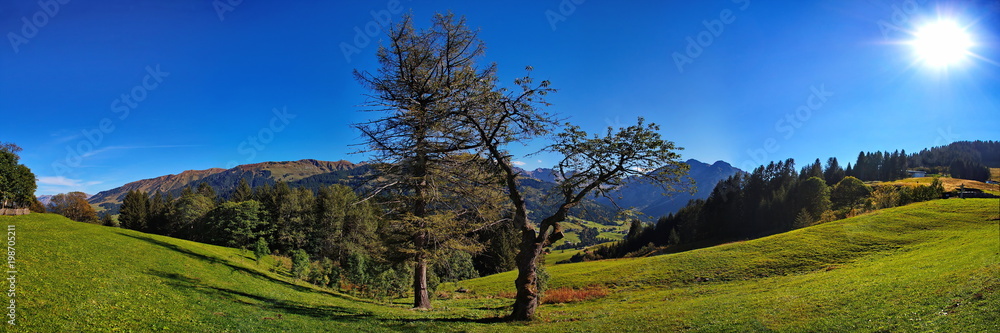 Kleinwalsertal