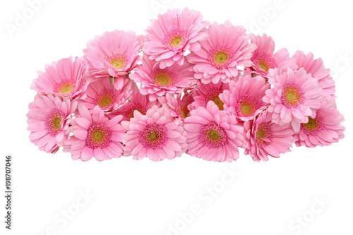 Gerbera is a flower characterized by many corals and most often used by florists in bouquets as a cut flower because it is distinctive and large. 