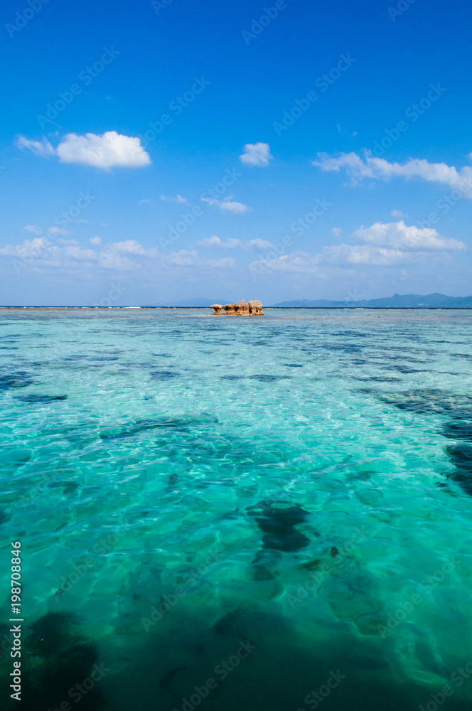 Fototapeta premium crystal clear turquoise water at Kabira Bay, Ishigaki, Okinawa