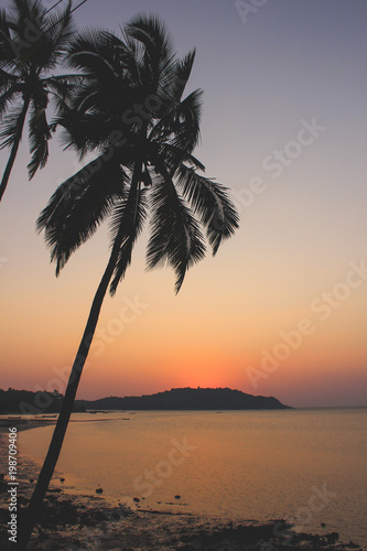 India. Goa.  Golden sunset on the chapora river