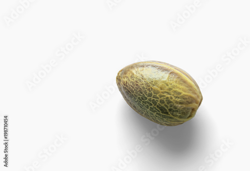 Hemp seed on a white background