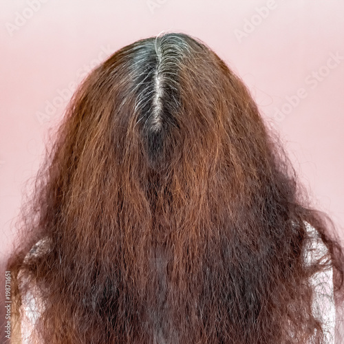 Women's thick curly gray hair roots. Age change. Going gray. Multicolored  hair color. Stock Photo | Adobe Stock
