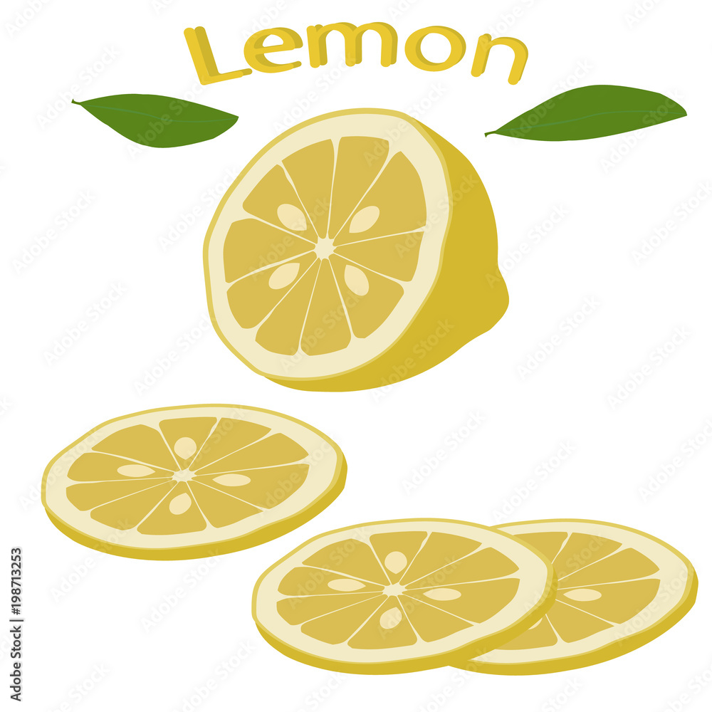 Half lemon isolated on white background and sliced lemon. Yellow lemon fruit close-up. Vector illustration for a recipe, restaurant menu, kitchen interior design. Half lemon isolated on white background and sliced lemon. Yellow lemon fruit close-up. Vector illustration for a recipe, restaurant menu, kitchen interior design.