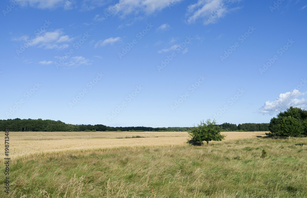 Laesoe / Denmark: Typical rural landscape in Vesteroe Syd