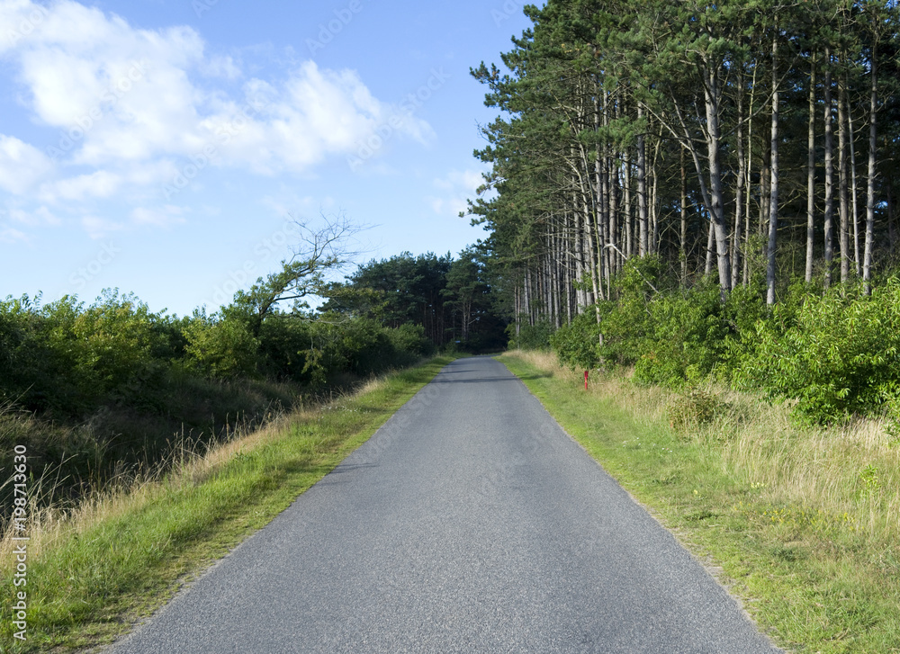 Laesoe / Denmark: Cyclist-friendly rural road along the edge of the woods