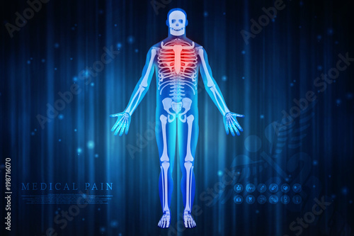2d illustration Human Male Muscle Body 